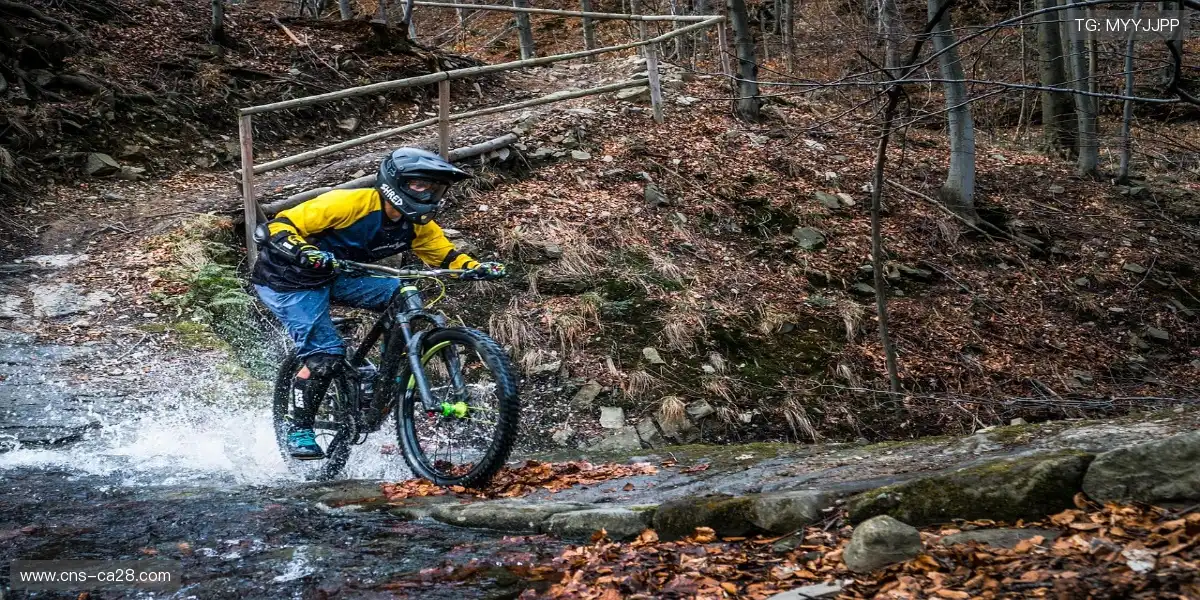 🏟️赛场主题夜点亮城市，一起沉浸狂欢！✨